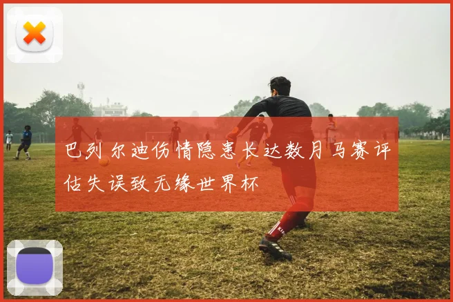 巴列尔迪伤情隐患长达数月马赛评估失误致无缘世界杯